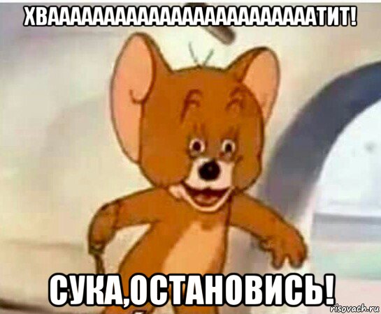 хваааааааааааааааааааааааатит! сука,остановись!, Мем Упоротый джерри