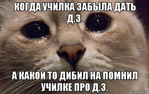 когда училка забыла дать д.з. а какой то дибил на помнил училке про д.з., Мем   В мире грустит один котик