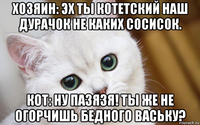 хозяин: эх ты котетский наш дурачок не каких сосисок. кот: ну пазязя! ты же не огорчишь бедного ваську?, Мем  В мире грустит один котик