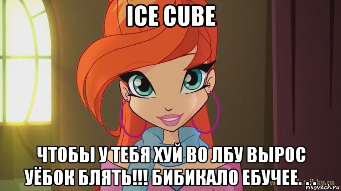 ice cube чтобы у тебя хуй во лбу вырос уёбок блять!!! бибикало ебучее. . ., Мем Винкс