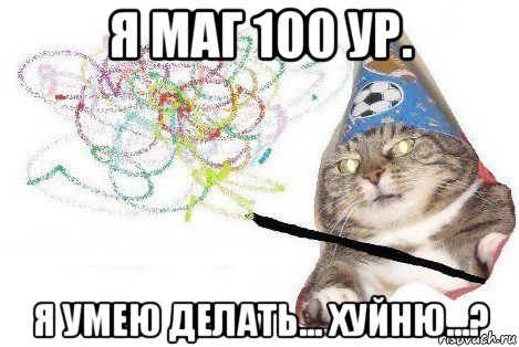 я маг 100 ур. я умею делать... хуйню...?, Мем Вжух мем