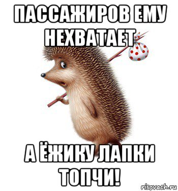 пассажиров ему нехватает а ёжику лапки топчи!