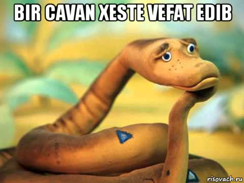 bir cavan xeste vefat edib , Мем  задумчивый удав