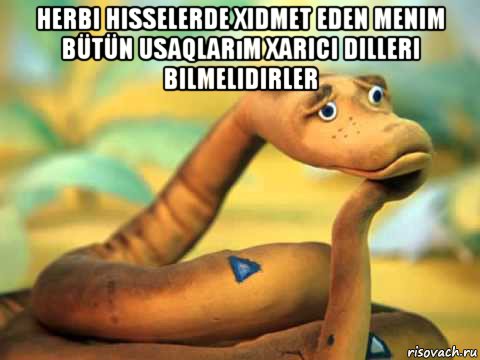 herbi hisselerde xidmet eden menim bütün usaqlarım xarici dilleri bilmelidirler 