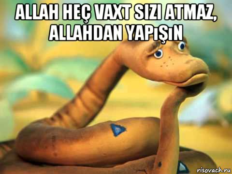 allah heç vaxt sizi atmaz, allahdan yapışın , Мем  задумчивый удав