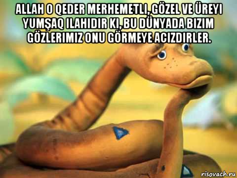 allah o qeder merhemetli, gözel ve üreyi yumşaq ilahidir ki, bu dünyada bizim gözlerimiz onu görmeye acizdirler. , Мем  задумчивый удав