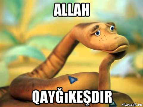 allah qayğıkeşdir