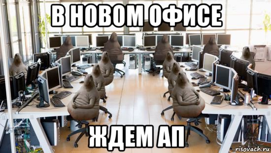 в новом офисе ждем ап