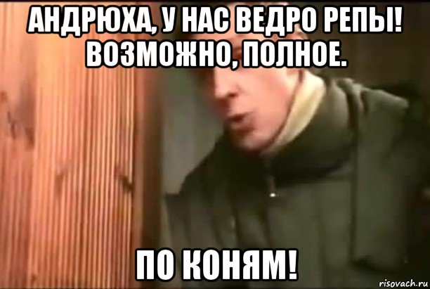 андрюха, у нас ведро репы! возможно, полное. по коням!