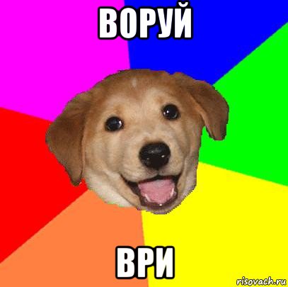 воруй ври, Мем Advice Dog