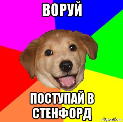 воруй поступай в стенфорд, Мем Advice Dog