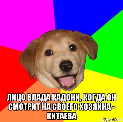  лицо влада кадони, когда он смотрит на своего хозяина - китаева, Мем Advice Dog