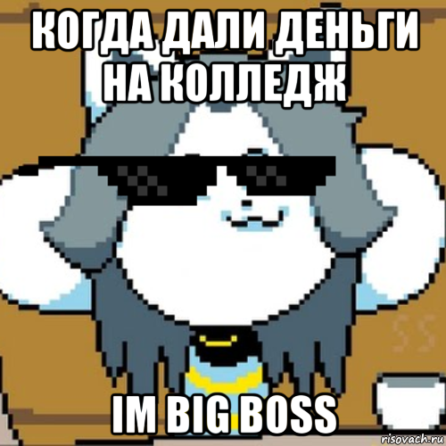 когда дали деньги на колледж im big boss