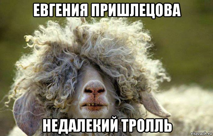 евгения пришлецова недалекий тролль