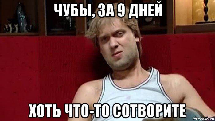 чубы, за 9 дней хоть что-то сотворите