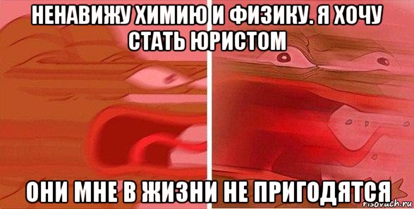 ненавижу химию и физику. я хочу стать юристом они мне в жизни не пригодятся, Мем Бесит