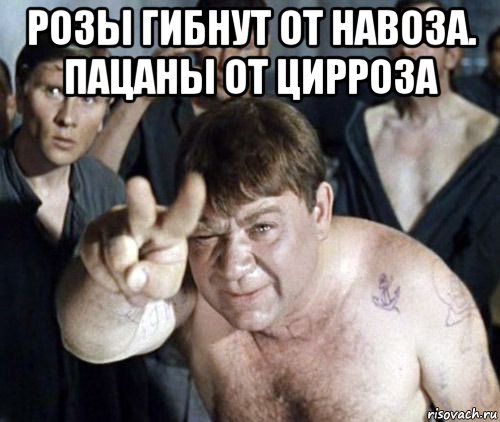 розы гибнут от навоза. пацаны от цирроза , Мем Боров