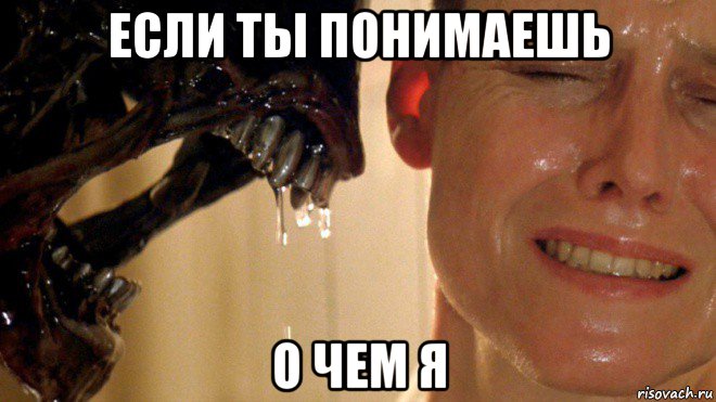 если ты понимаешь о чем я