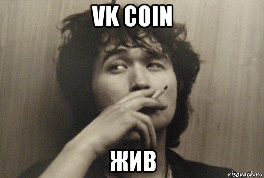 vk coin жив