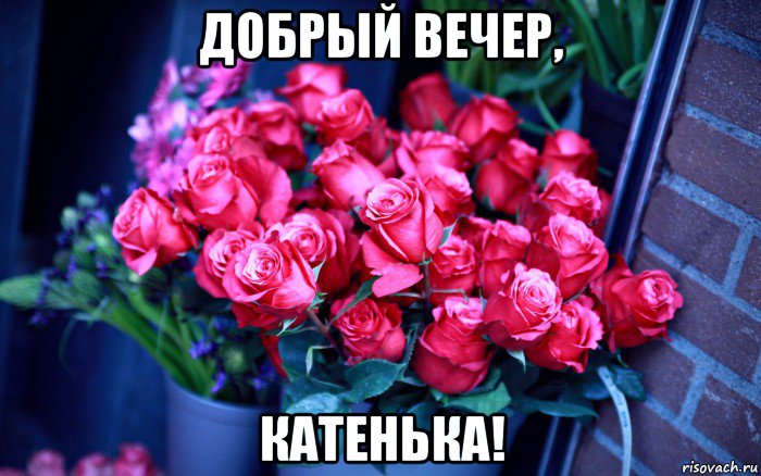 добрый вечер, катенька!, Мем Цветы