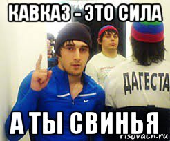 кавказ - это сила а ты свинья