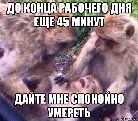 до конца рабочего дня еще 45 минут дайте мне спокойно умереть