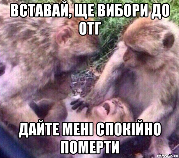вставай, ще вибори до отг дайте мені спокійно померти