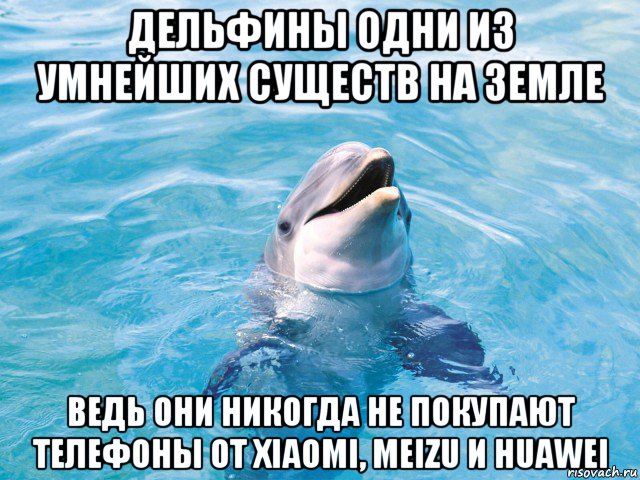 дельфины одни из умнейших существ на земле ведь они никогда не покупают телефоны от xiaomi, meizu и huawei