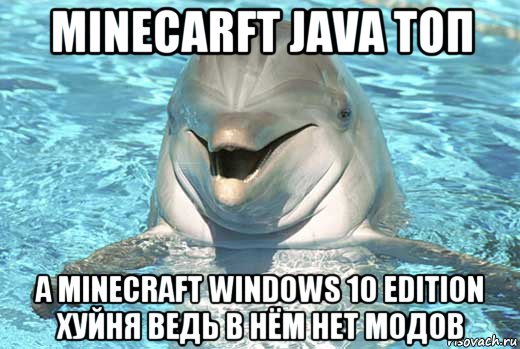 minecarft java топ а minecraft windows 10 edition хуйня ведь в нём нет модов, Мем Дельфин