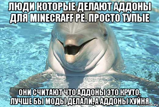 люди которые делают аддоны для minecraff pe. просто тупые они считают что аддоны это круто. лучше бы моды делали, а аддоны хуйня, Мем Дельфин