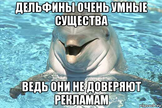 дельфины очень умные существа ведь они не доверяют рекламам, Мем Дельфин