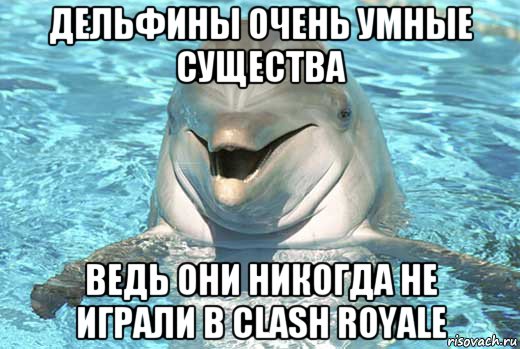 дельфины очень умные существа ведь они никогда не играли в clash royale, Мем Дельфин