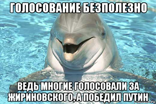 голосование безполезно ведь многие голосовали за жириновского, а победил путин, Мем Дельфин