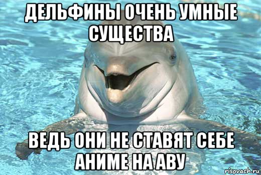 дельфины очень умные существа ведь они не ставят себе аниме на аву, Мем Дельфин