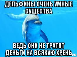 дельфины очень умные существа ведь они не тратят деньги на всякую хрень
