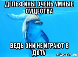 дельфины очень умные существа ведь они не играют в доту