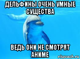 дельфины очень умные существа ведь они не смотрят аниме