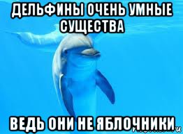 дельфины очень умные существа ведь они не яблочники