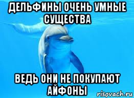 дельфины очень умные существа ведь они не покупают айфоны