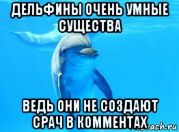 дельфины очень умные существа ведь они не создают срач в комментах