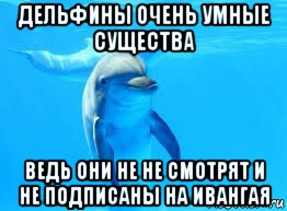 дельфины очень умные существа ведь они не не смотрят и не подписаны на ивангая