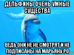дельфины очень умные существа ведь они не не смотрят и не подписаны на марьяну ро