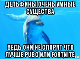 дельфины очень умные существа ведь они не спорят что лучше pubg или fortnite