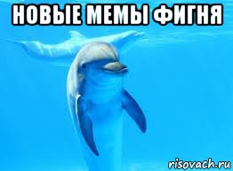 новые мемы фигня 