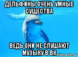 дельфины очень умные существа ведь они не слушают музыку в вк