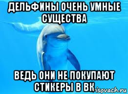 дельфины очень умные существа ведь они не покупают стикеры в вк
