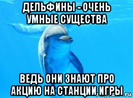 дельфины - очень умные существа ведь они знают про акцию на станции игры