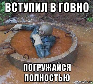 вступил в говно погружайся полностью, Мем Dive into