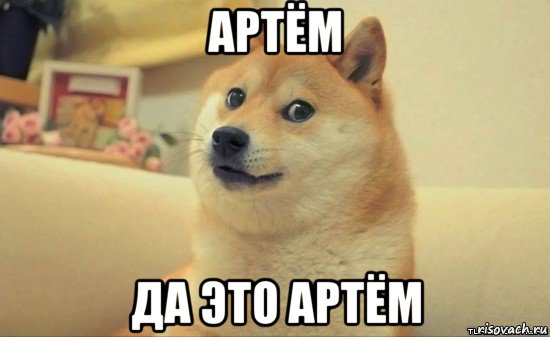 артём да это артём