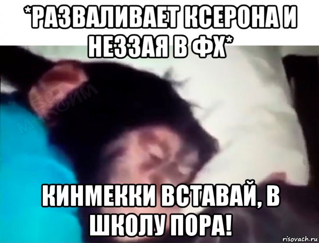 *разваливает ксерона и неззая в фх* кинмекки вставай, в школу пора!, Мем Ержан